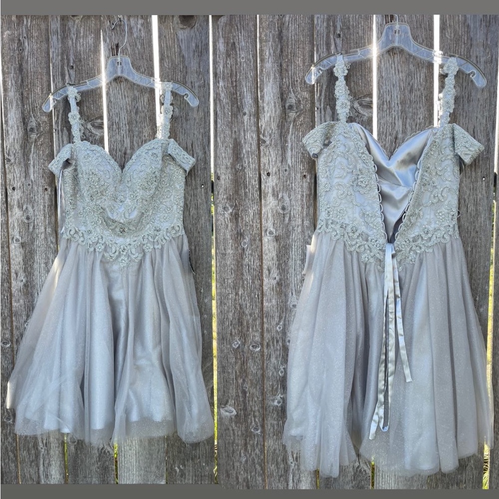 Cinderella Divine Grey Dress, Size Small.